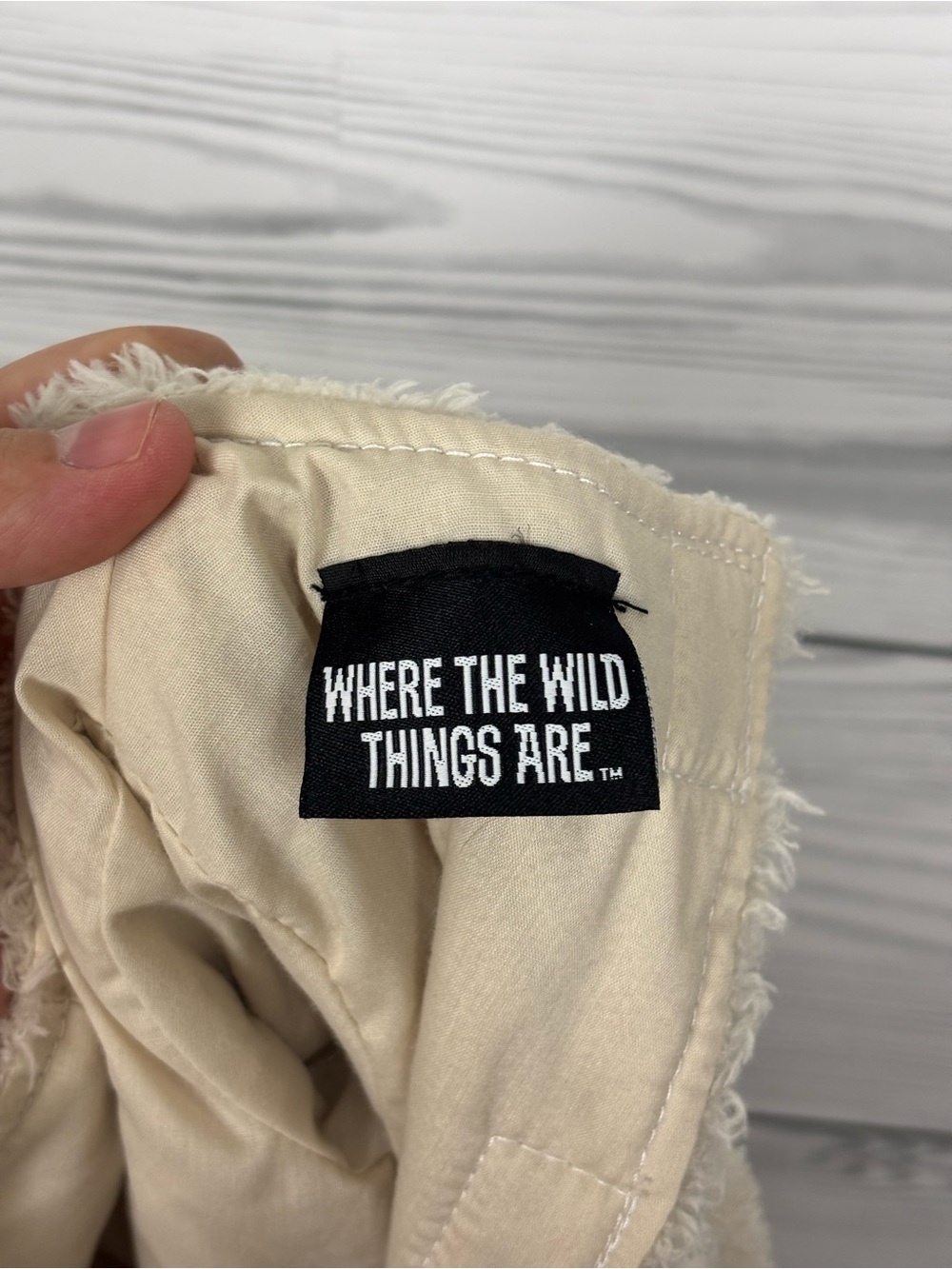 Pottery Barn Kids Max Where the Wild Things Are Halloween costume size 2T - Picture 13 of 16